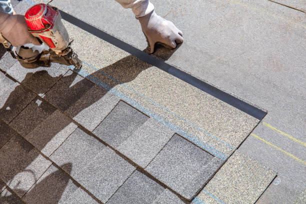 Best Residential Roofing Contractor  in Louisvle, IL